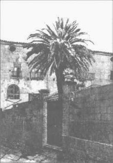 Palma a Sant Agata dei Goti