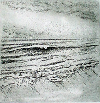 agnese_fonatana_rosa