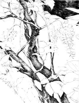 gasparini_giansisto