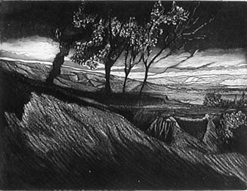 pino_finocchiaro