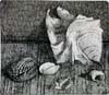 ezio_camorani