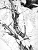 gasparini_giansisto
