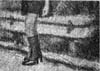 tiziano_bellomi