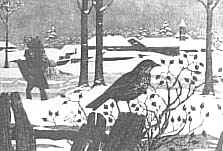 Paesaggio invernale