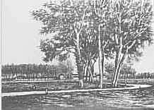 Cascina Paderno