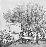 La carriola