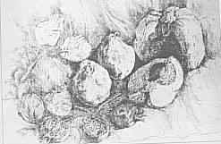 Natura morta con pere cotogne