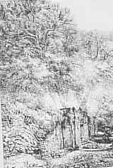Nel parco