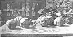 Mele cotogne