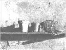 Vasi al sole