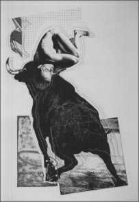Il toro