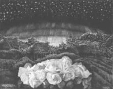 La luce delle stelle