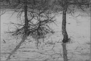 Ombra sulla neve