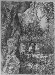 Il giardino degli ulivi (Getsemani)