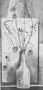 Alchechengi e bacche