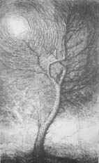 L albero che abbraccia la luna