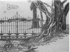 Giardino Garibaldi