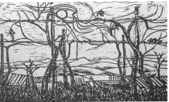 Vigna vecchia