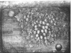 Stafili II
