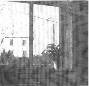 Dalla finestra