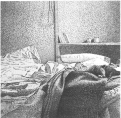 Il gatto sul letto