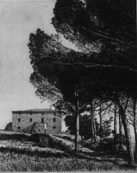 Casa di Maremma