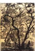Boscaglia