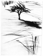 Albero