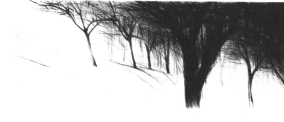 Alberi