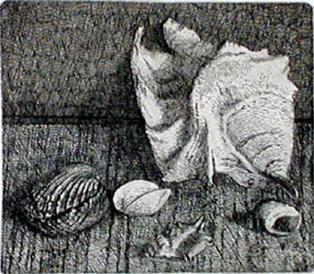 ezio_camorani