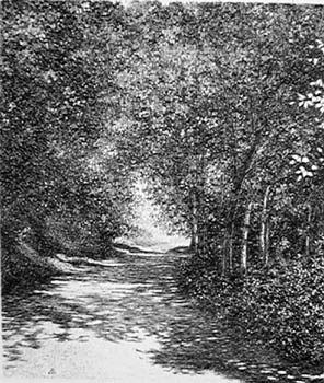 zaliani