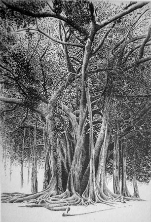 tonelli12